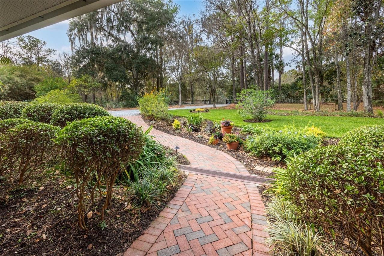 22675 NW 75th Avenue Road, Micanopy, FL 32667 Photo