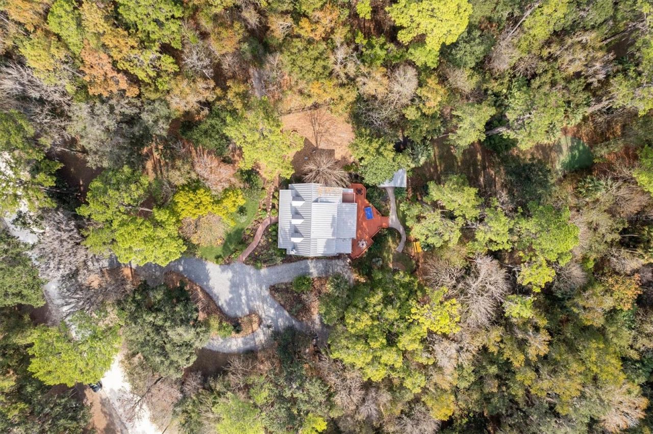 22675 NW 75th Avenue Road, Micanopy, FL 32667 Photo