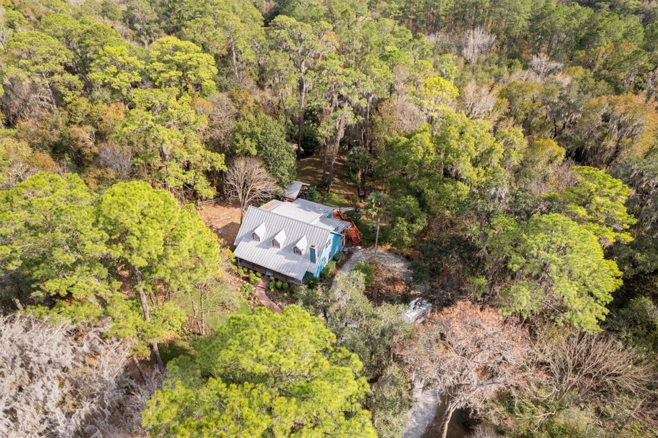 22675 NW 75th Avenue Road, Micanopy, FL 32667 Photo