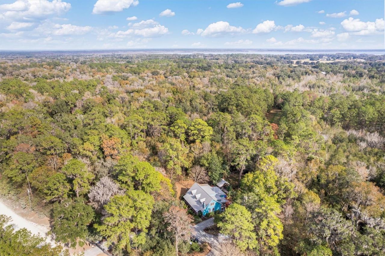 22675 NW 75th Avenue Road, Micanopy, FL 32667 Photo