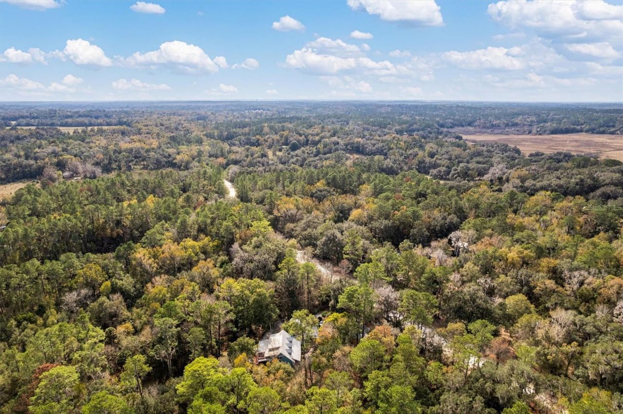 22675 NW 75th Avenue Road, Micanopy, FL 32667 Photo