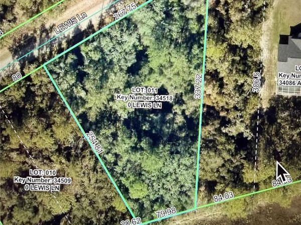 LEWIS LANE , WEBSTER, FL 33597