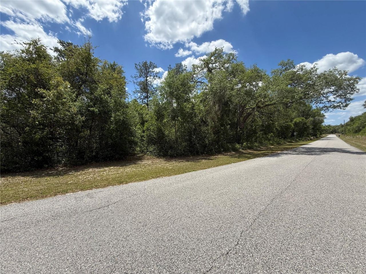 Lewis Lane , Webster, FL 33597 Photo