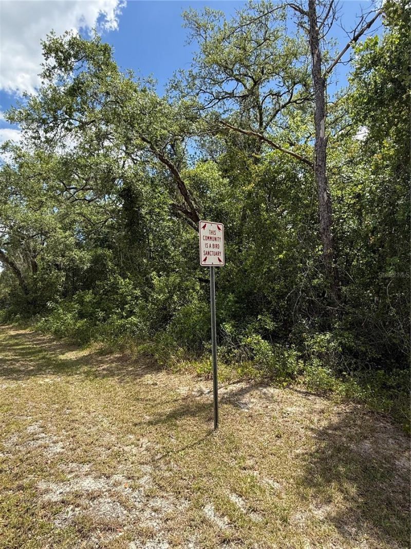 Lewis Lane , Webster, FL 33597 Photo