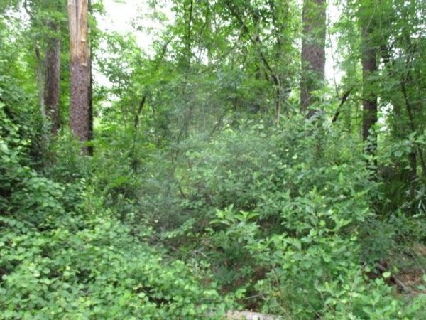 LOT18 SW 76TH DRIVE, Jasper, FL 32052