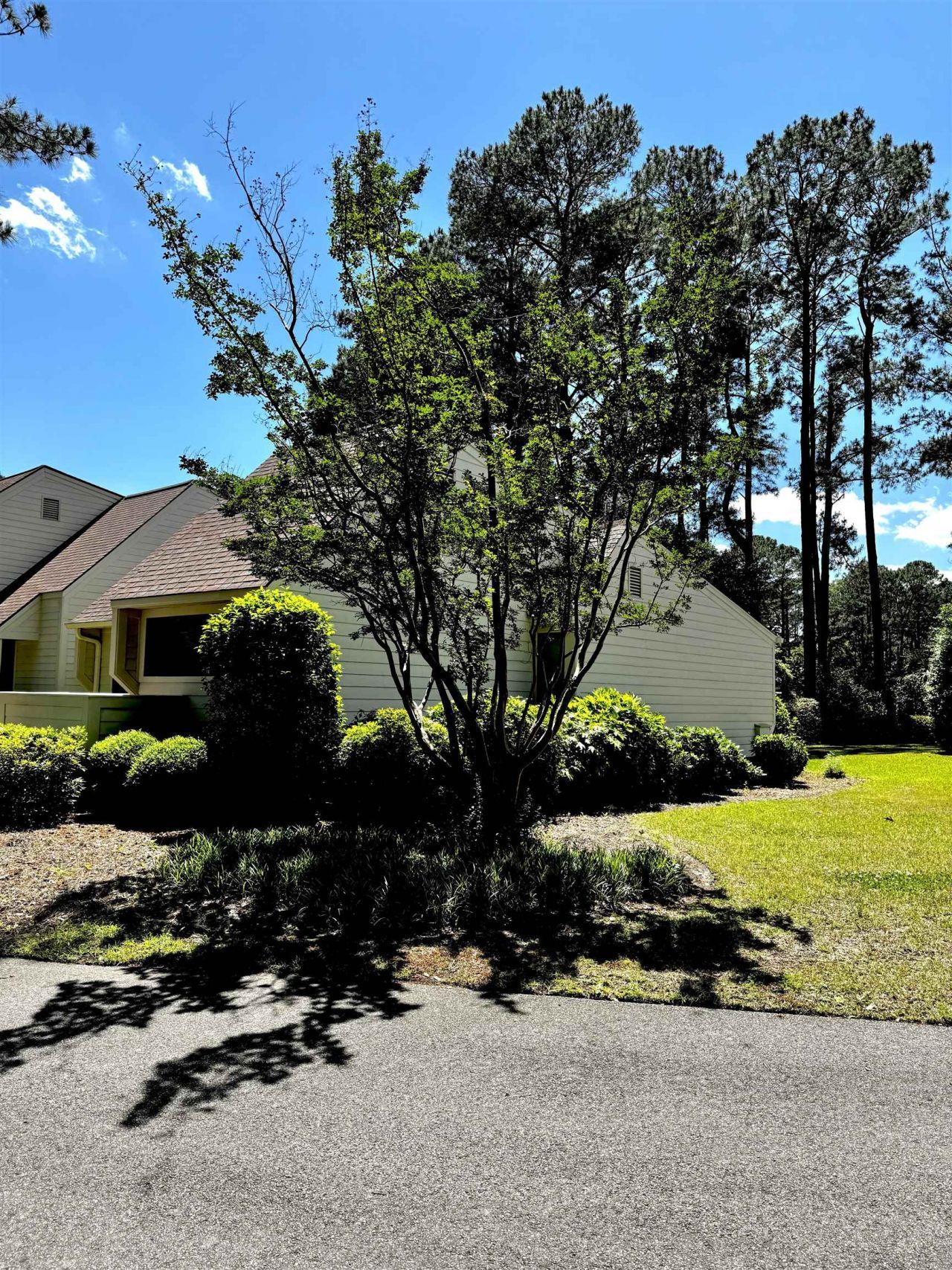 194 Tall Pines Way  Photo 4