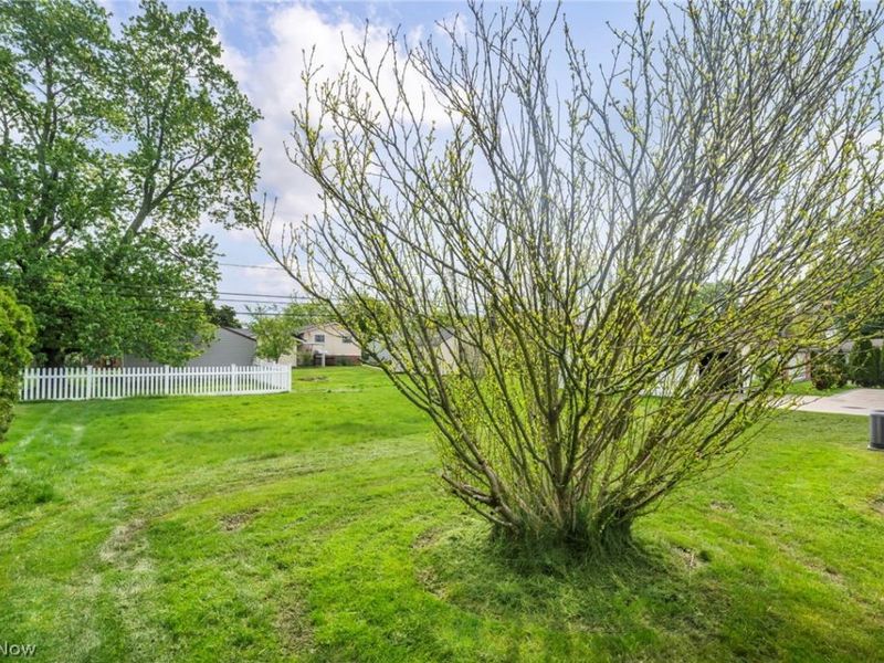 1299 Jackie Lane, Mayfield Heights, OH 44124 Photo 40