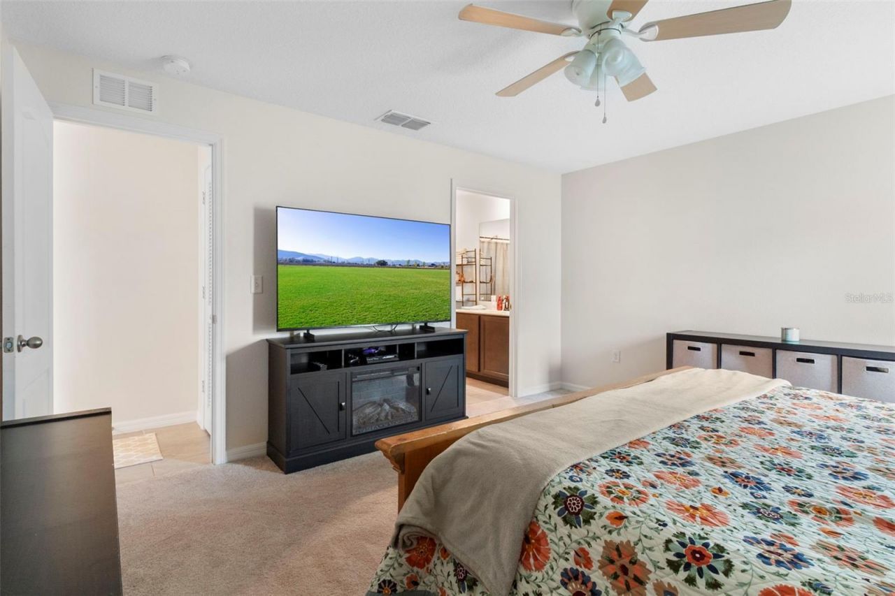 12067 Callicarpa Lane, Leesburg, FL 34788 Photo