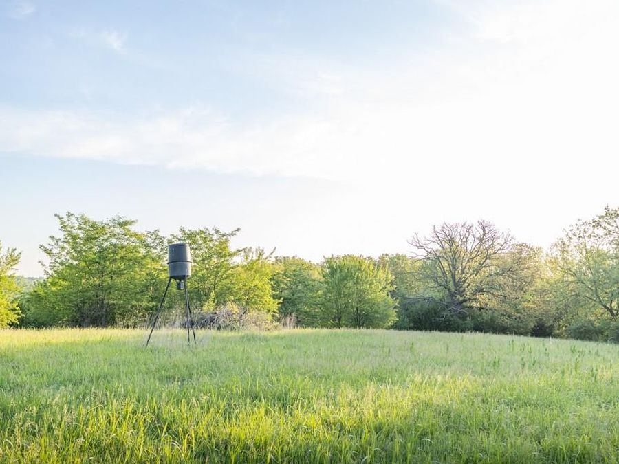 Property Image 36