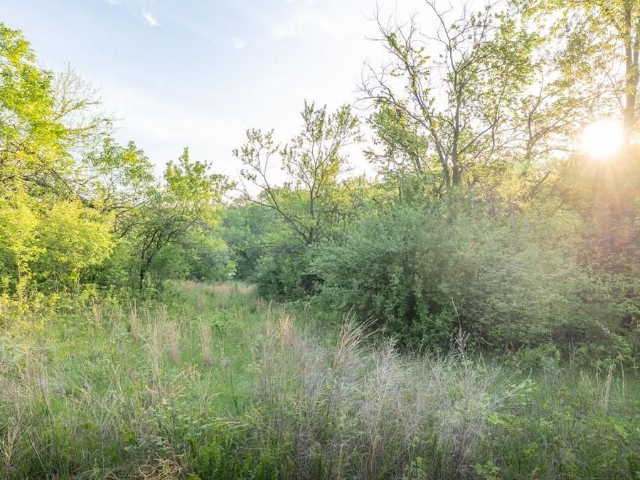 Property Image 37
