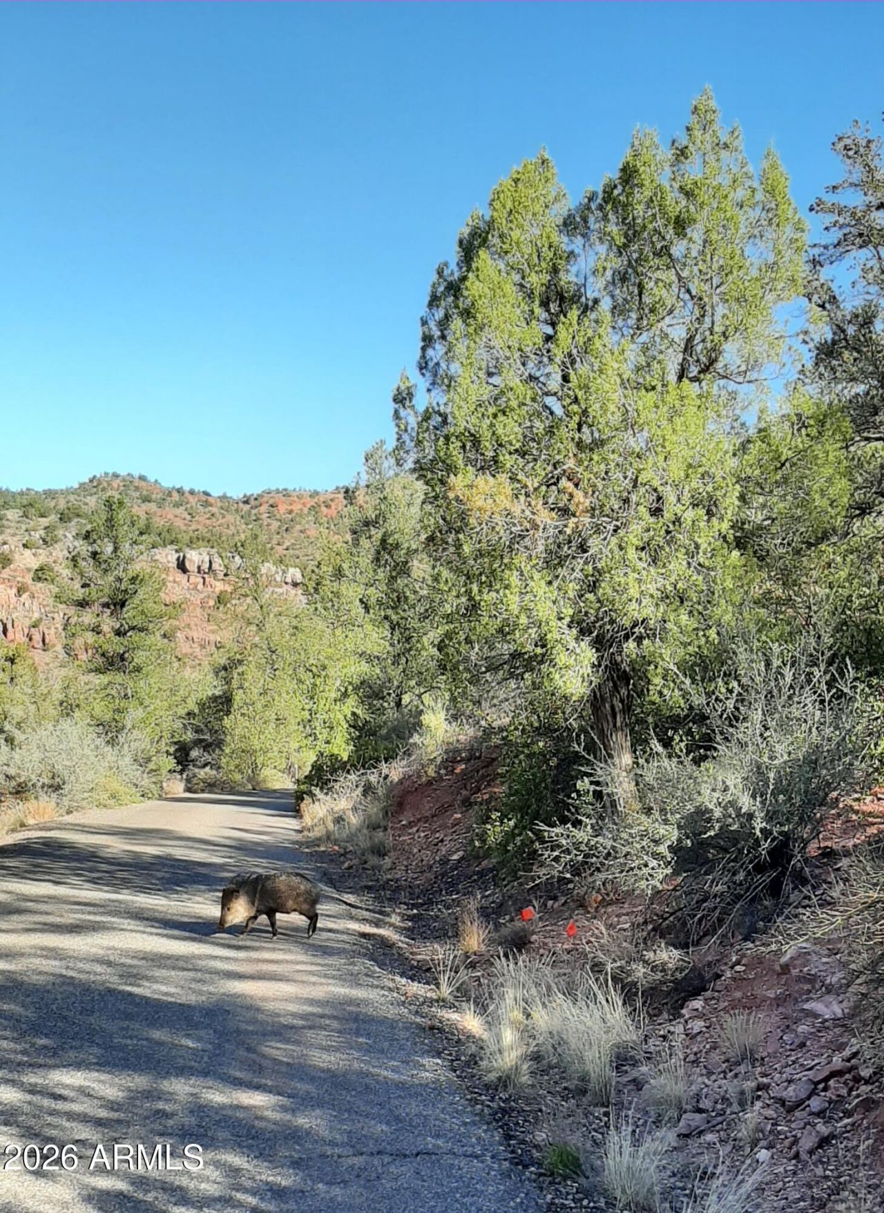 60 Casa La Courta Road, Lot #A, Sedona, AZ 86336 Main Photo