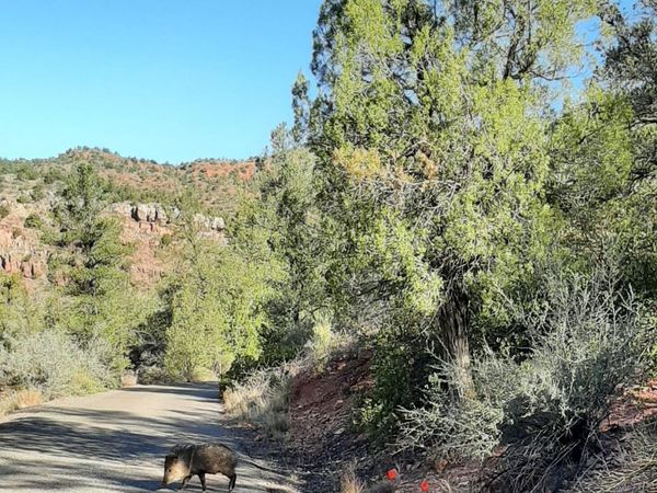60 CASA LA COURTA Road, Unit A, Sedona, AZ 86336