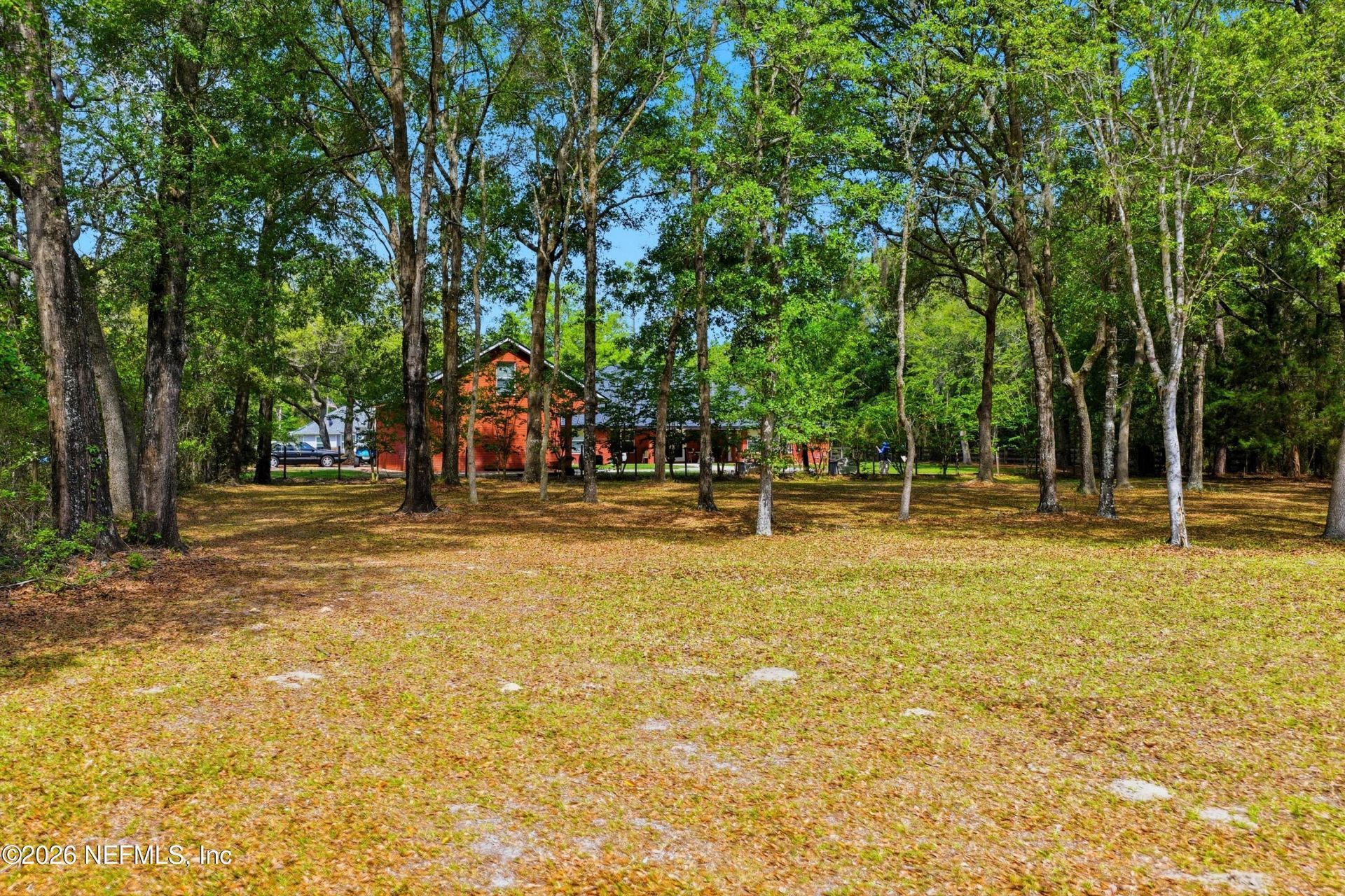 2478 Halperns Way, Middleburg, FL 32068 Photo