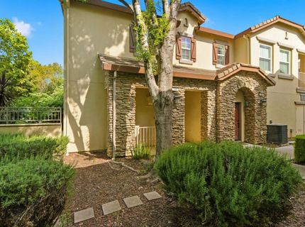 166 W Luna Loca Ln, Mountain House, CA 95391 Photo