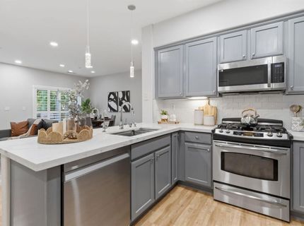 166 W Luna Loca Ln, Mountain House, CA 95391 Photo