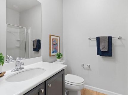 166 W Luna Loca Ln, Mountain House, CA 95391 Photo
