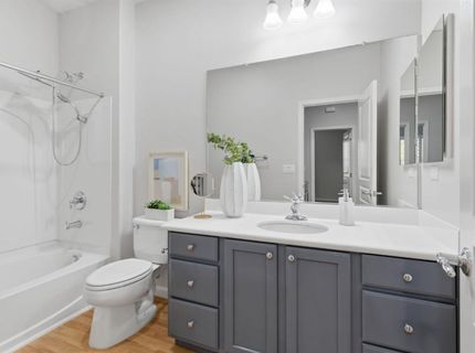 166 W Luna Loca Ln, Mountain House, CA 95391 Photo