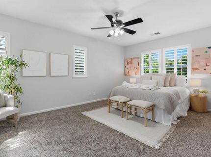 166 W Luna Loca Ln, Mountain House, CA 95391 Photo