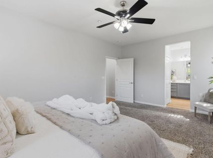 166 W Luna Loca Ln, Mountain House, CA 95391 Photo