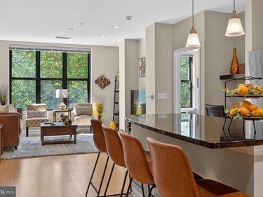 444 W BROAD STREET, Unit 230, FALLS CHURCH, VA 22046