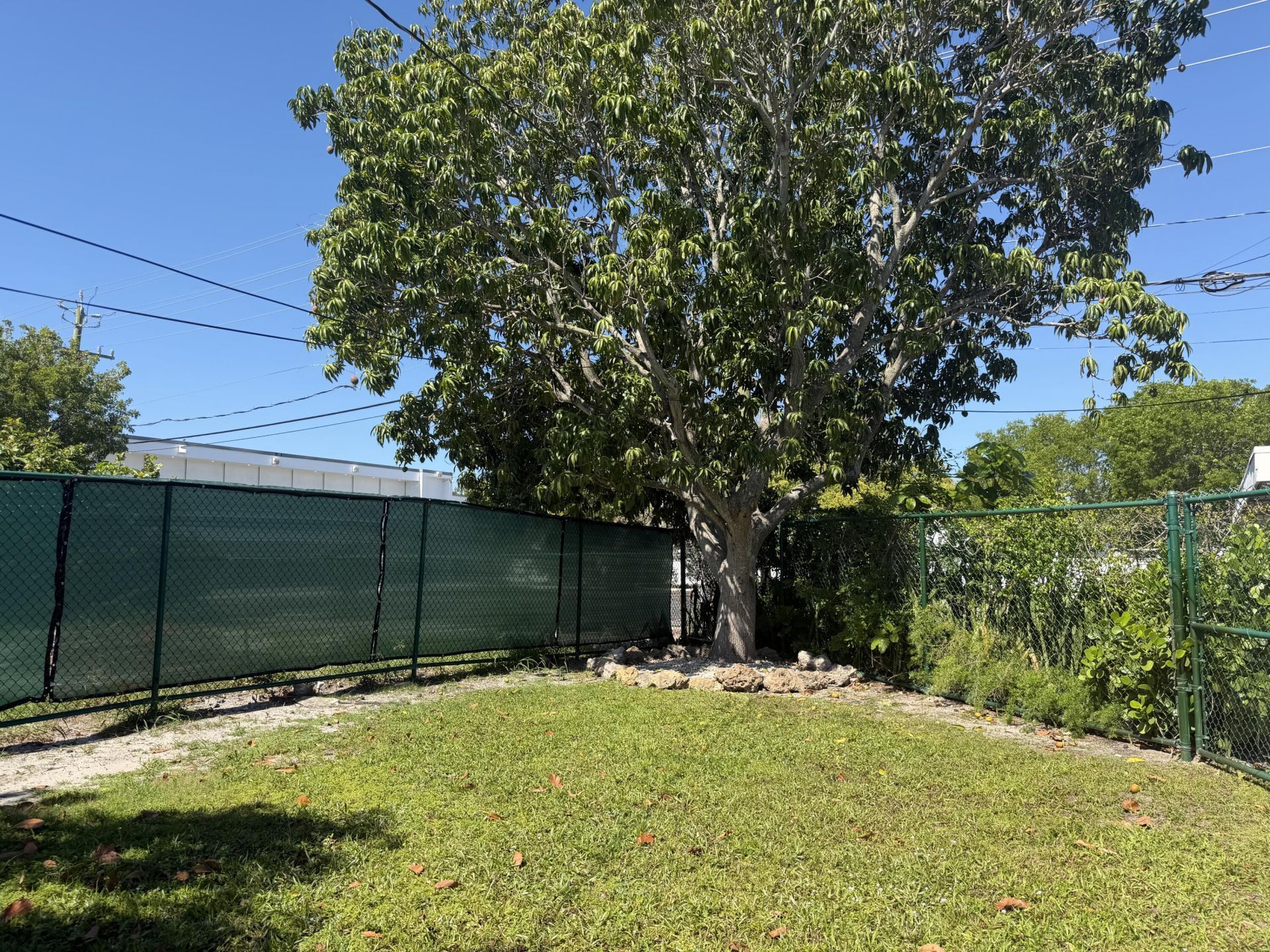 0 N K Street, Lake Worth Beach, FL 33460 Photo