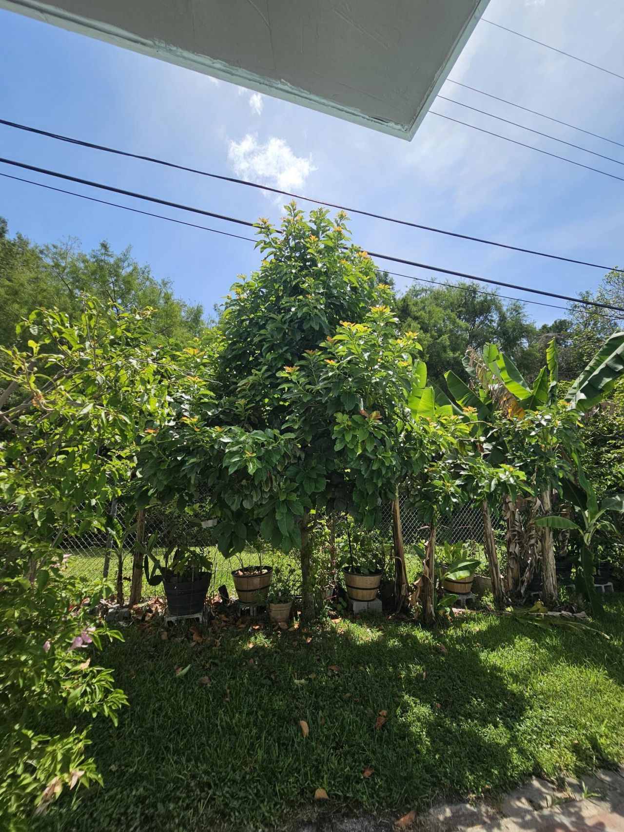 4021 E Shore Road, Miramar, FL 33023 Photo