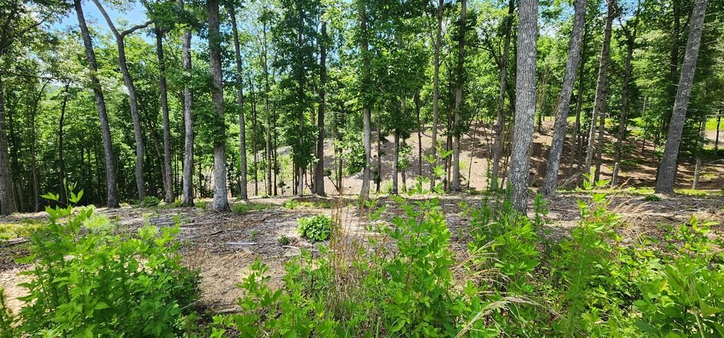 Lt 106 Split Creek Road, Morganton, GA 30560 Main Photo