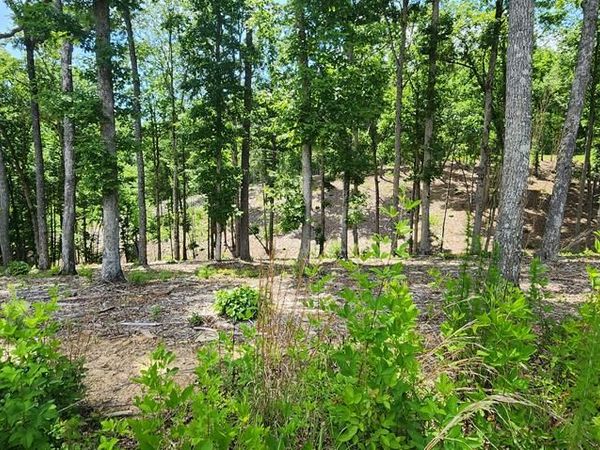 LT 106 Split Creek Road, Morganton, GA 30560