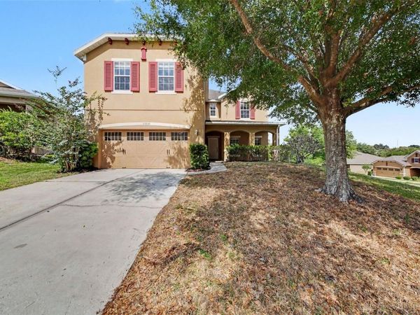 30030 MESSARA COVE , MOUNT DORA, FL 32757
