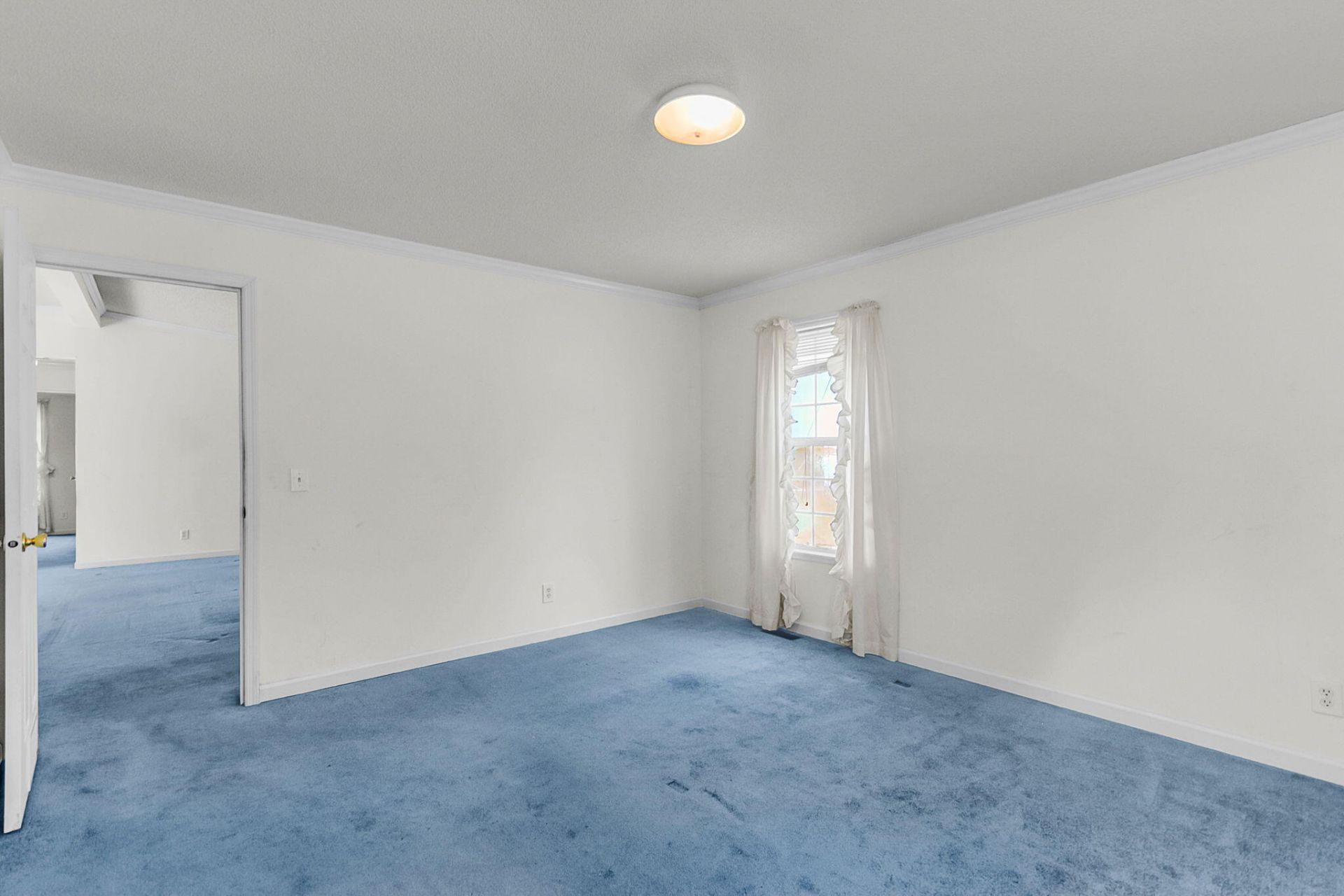115 Decker Court Photo 24