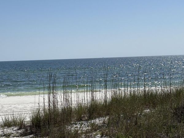 8890 W Hwy 98, Port St. Joe, FL 32456
