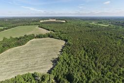 155-ac Westberry Drive photo 4