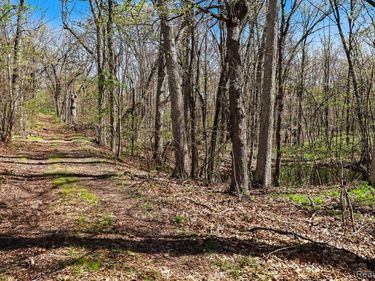 Parcel #3 Milford Rd, Rose Twp, MI 48442