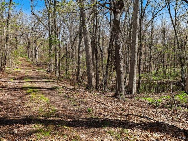 Parcel #3 Milford Rd, Rose Twp, MI 48442