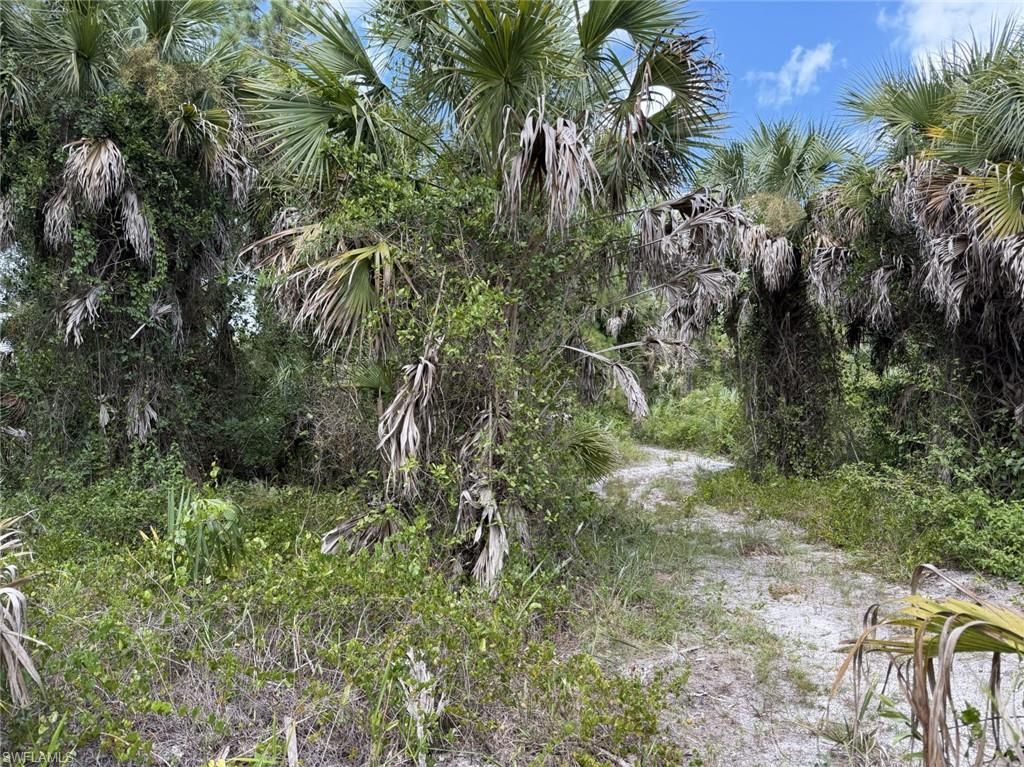 01 Woodland Grade Private Rd, Naples, FL 34117 Photo