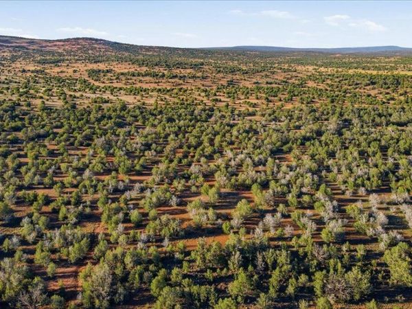 8602 N TEN TANKS Road, Unit 157, Ash Fork, AZ 86320