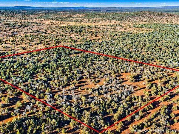 8602 N TEN TANKS Road, Unit 157, Ash Fork, AZ 86320