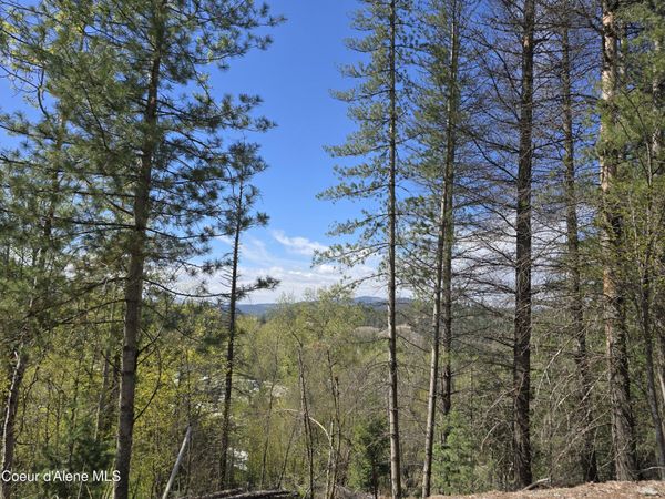 821 Lower Page Rd, Smelterville, ID 83868