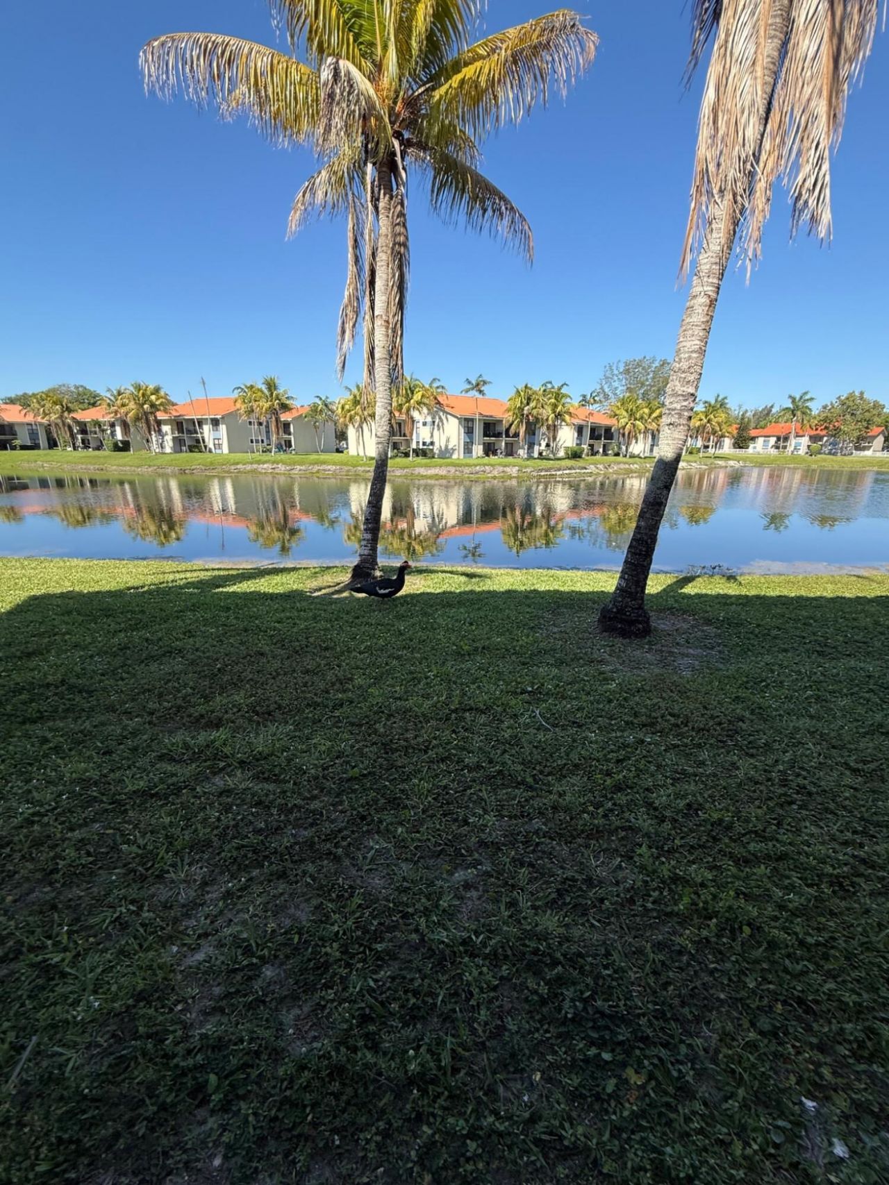 1515 Lake Crystal Drive, Unit B, West Palm Beach, FL 33411 Photo