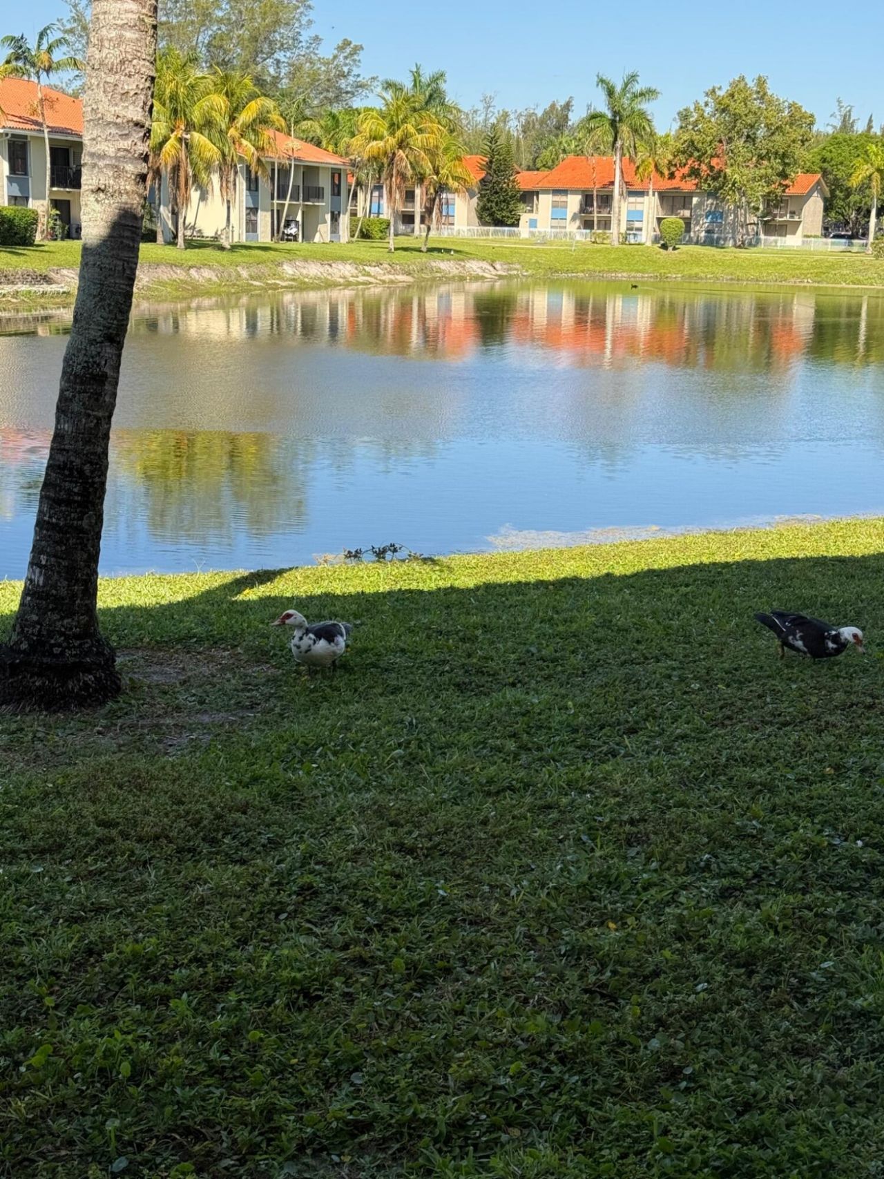 1515 Lake Crystal Drive, Unit B, West Palm Beach, FL 33411 Photo