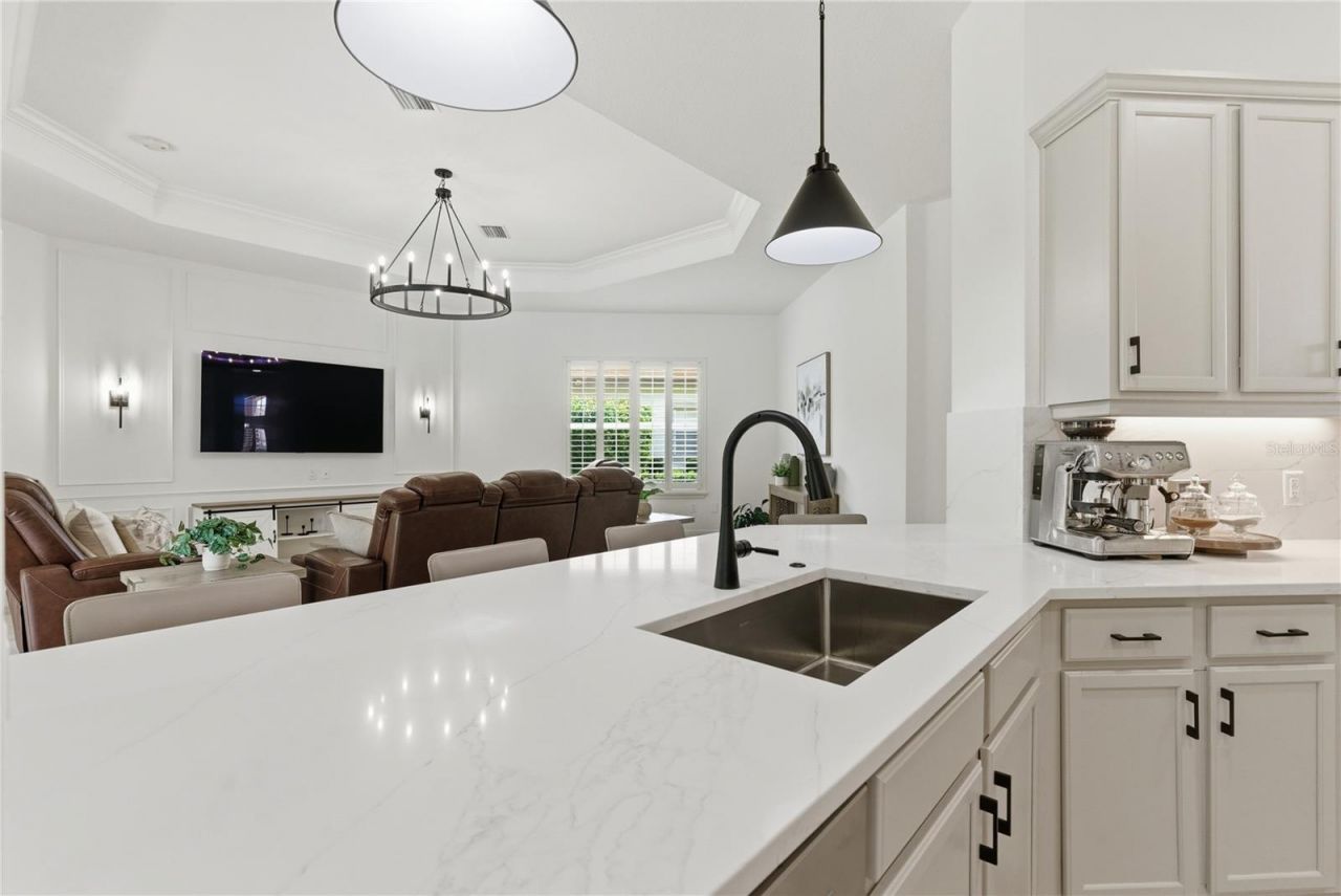 8747 Bonica Place, Land O Lakes, FL 34637 Photo