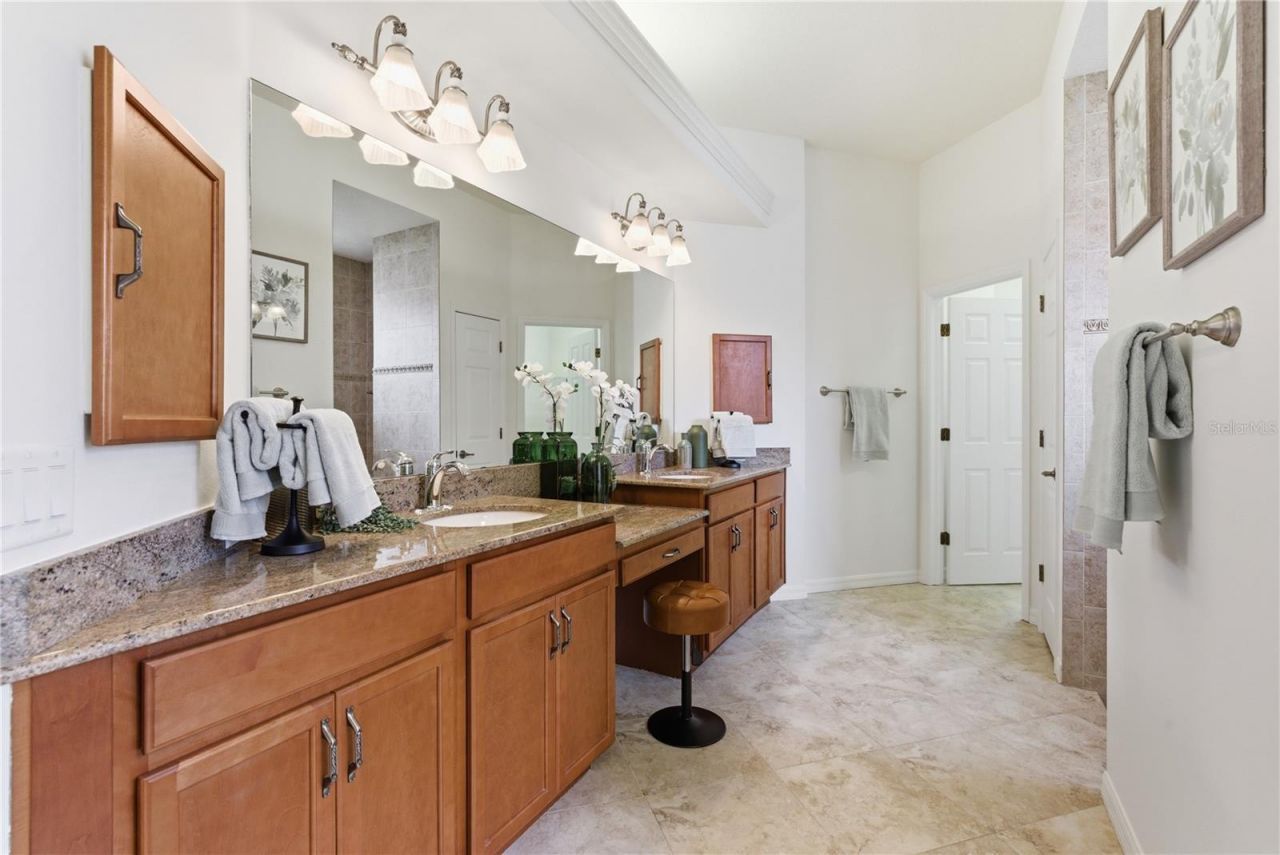8747 Bonica Place, Land O Lakes, FL 34637 Photo