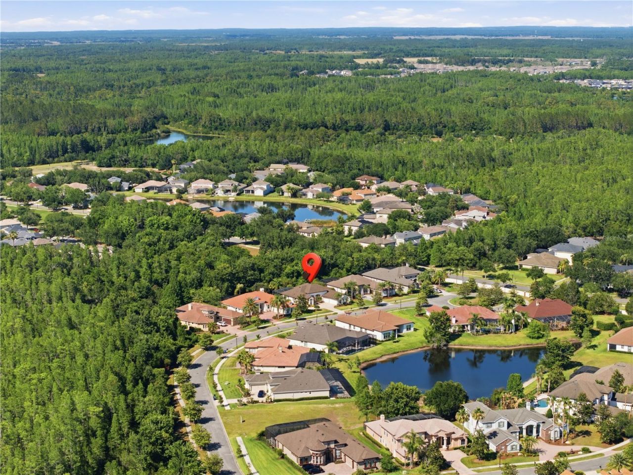8747 Bonica Place, Land O Lakes, FL 34637 Photo