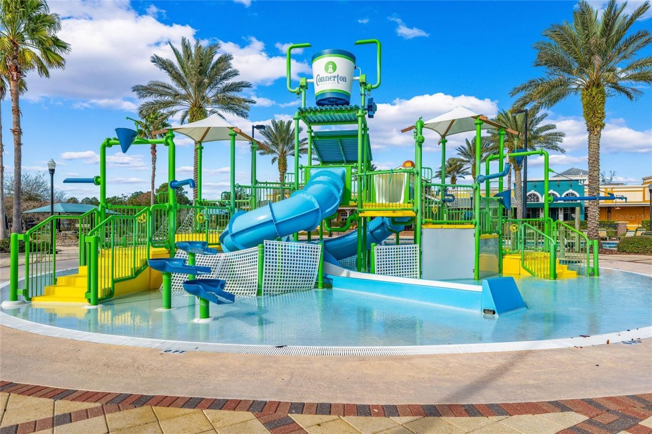 8747 Bonica Place, Land O Lakes, FL 34637 Photo