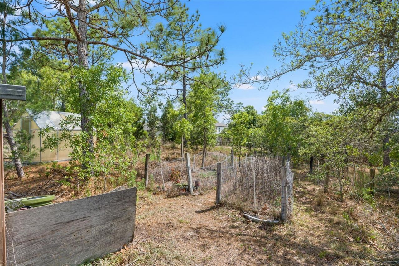 13002 Oneida Street, Spring Hill, FL 34609 Photo