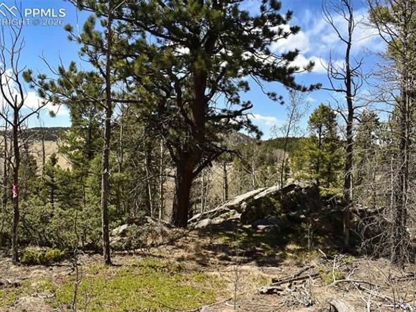 289 Timberline Drive, Guffey, CO 80820