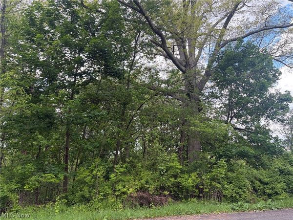 V/L Trenton Road , Akron, OH 44312