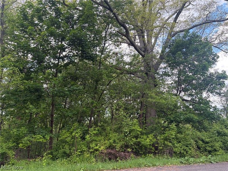 V/L Trenton Road, Akron, OH 44312 Photo 1