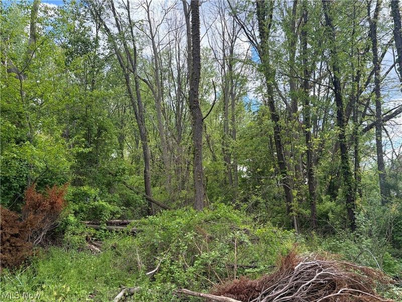 V/L Trenton Road, Akron, OH 44312 Photo 2