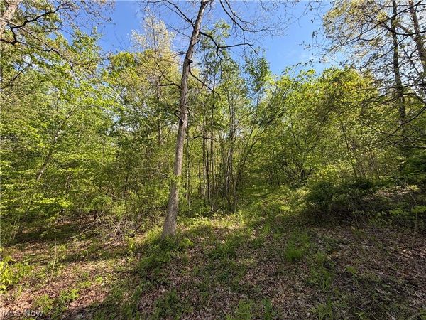45934 Township Road 290, Coshocton, OH 43812
